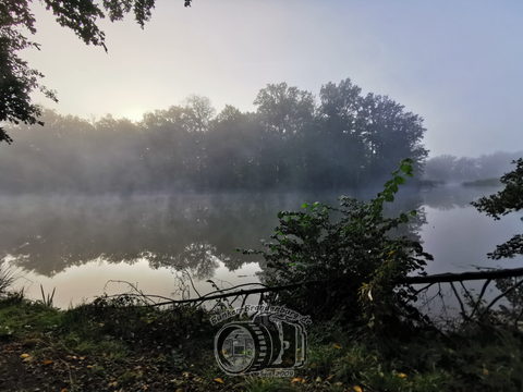 Schloss Park Saßleben – Bild